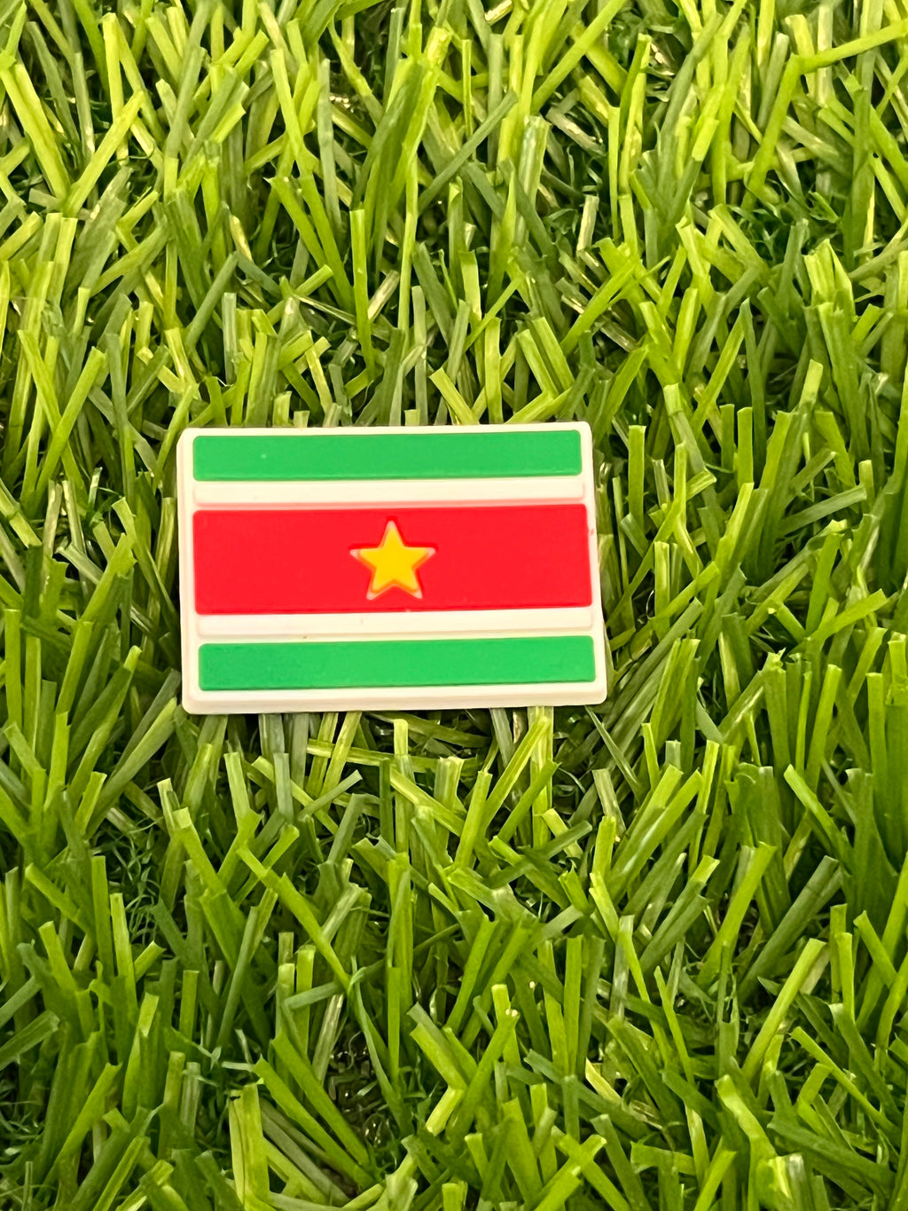 SURINAME CROC CHARM