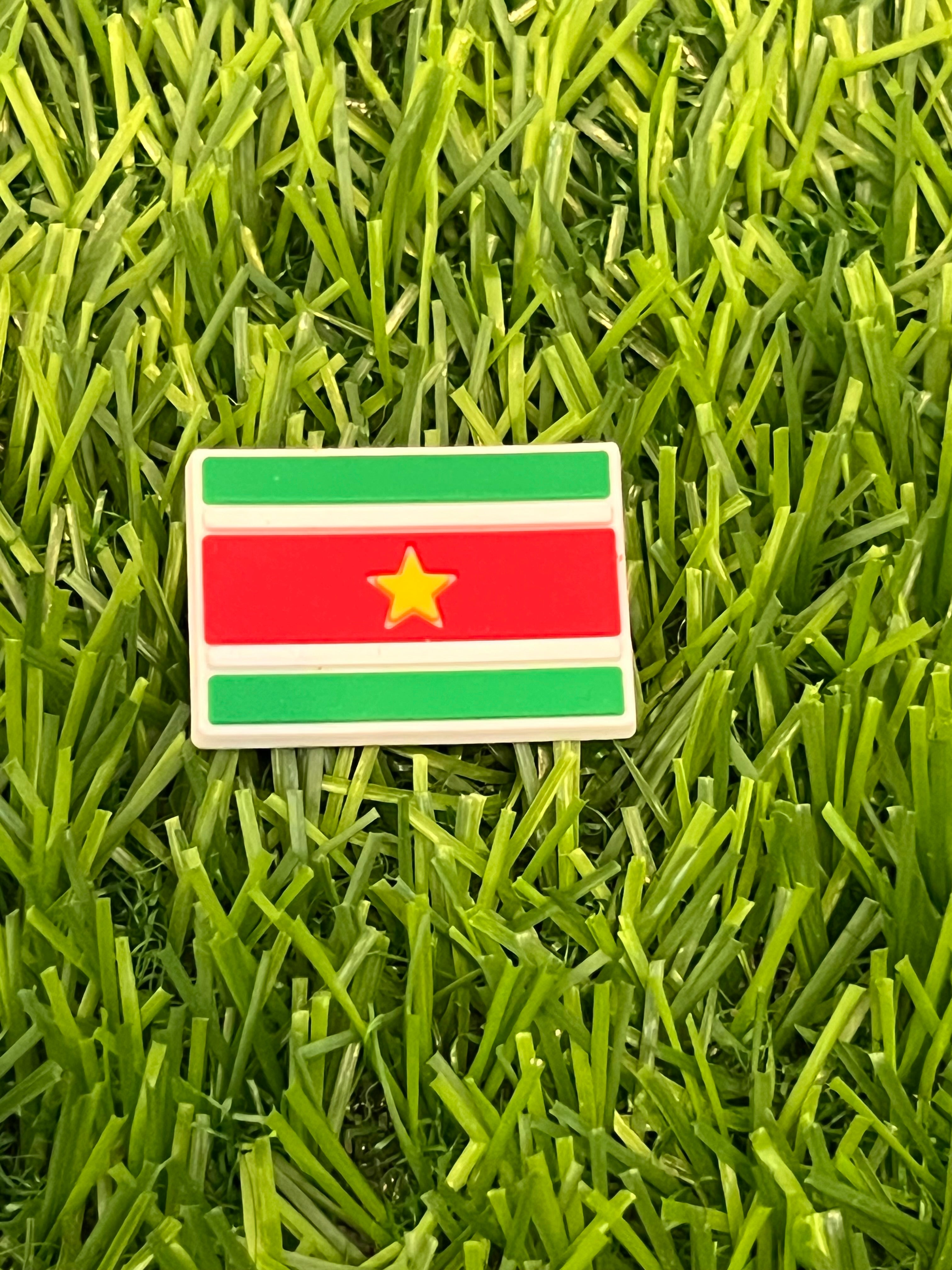 SURINAME CROC CHARM