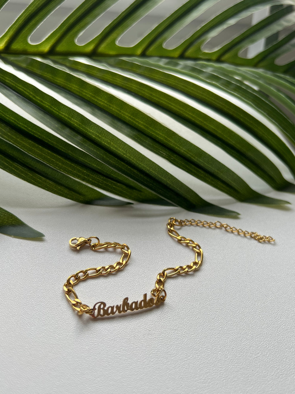 Barbados Curb Bracelet