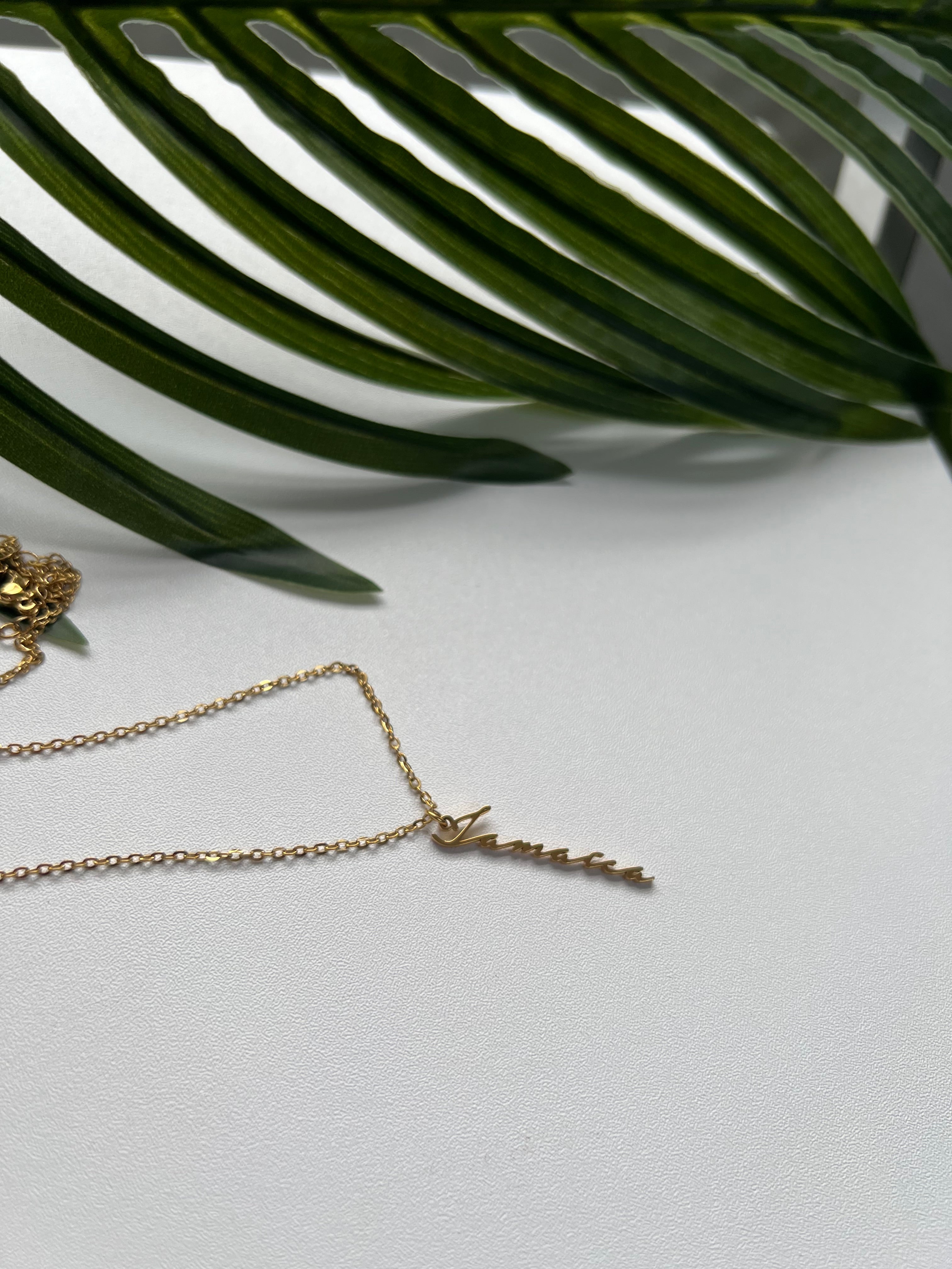 Jamaica Vertical Line Necklace