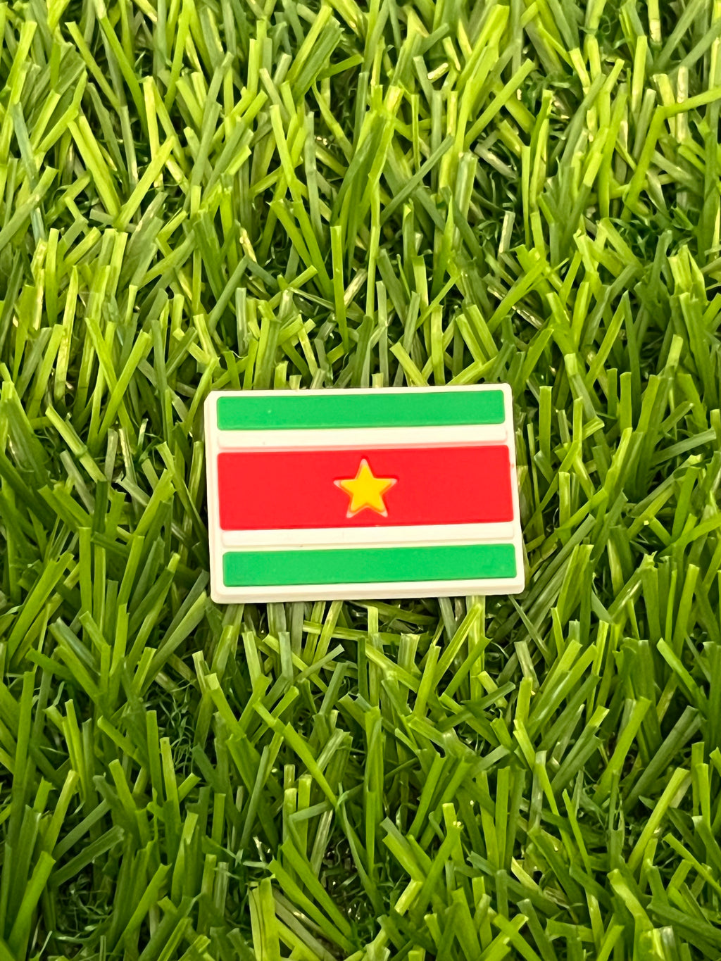 SURINAME CROC CHARM