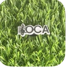 SOCA CROC CHARMS
