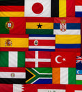 XL WORLD FLAGS